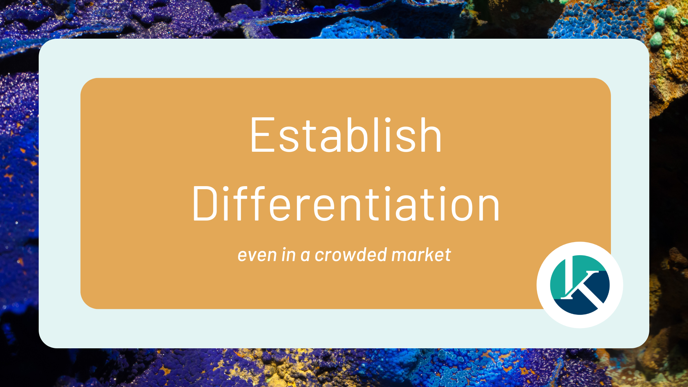 Establishing Your Differentiation – even when you’re not that different